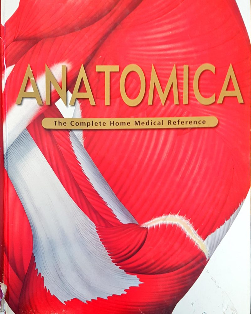 Anatomica