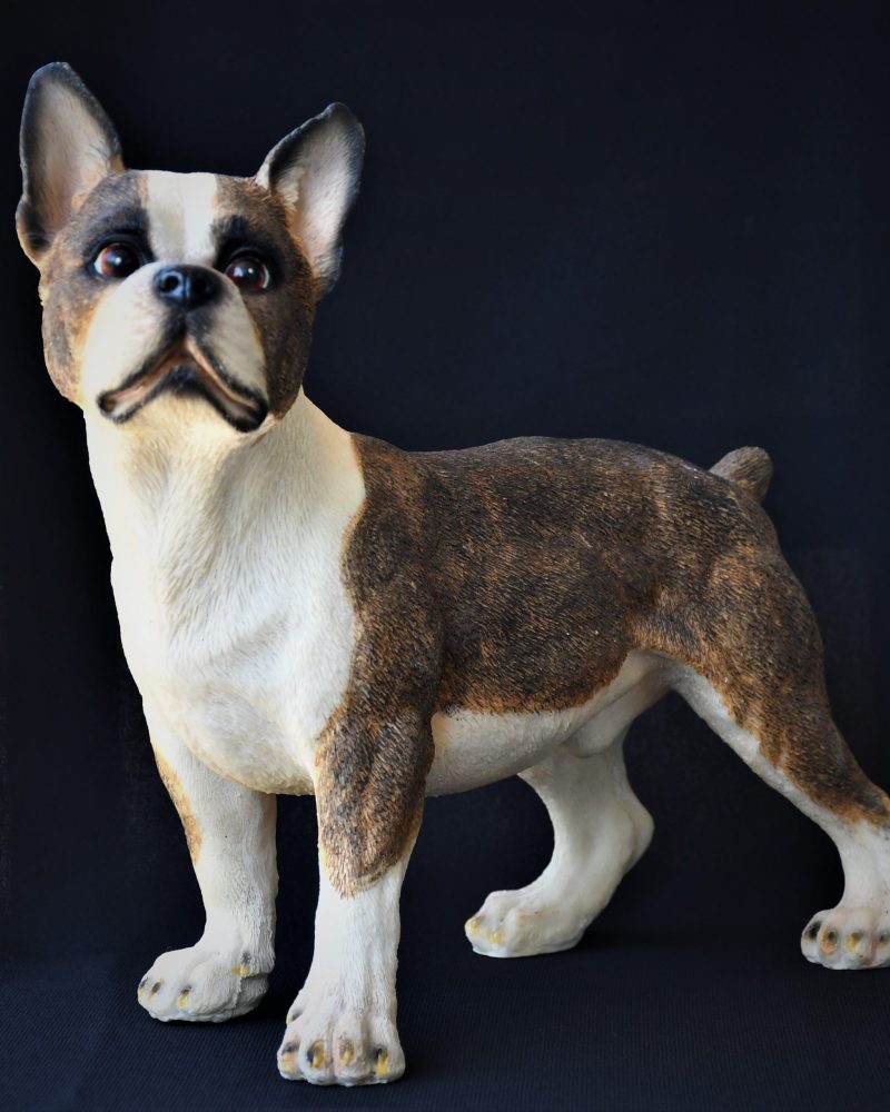 Реалистична скулптура на Boston Terrier